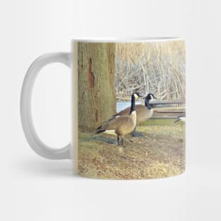 Canada Geese - Into the Water Mug